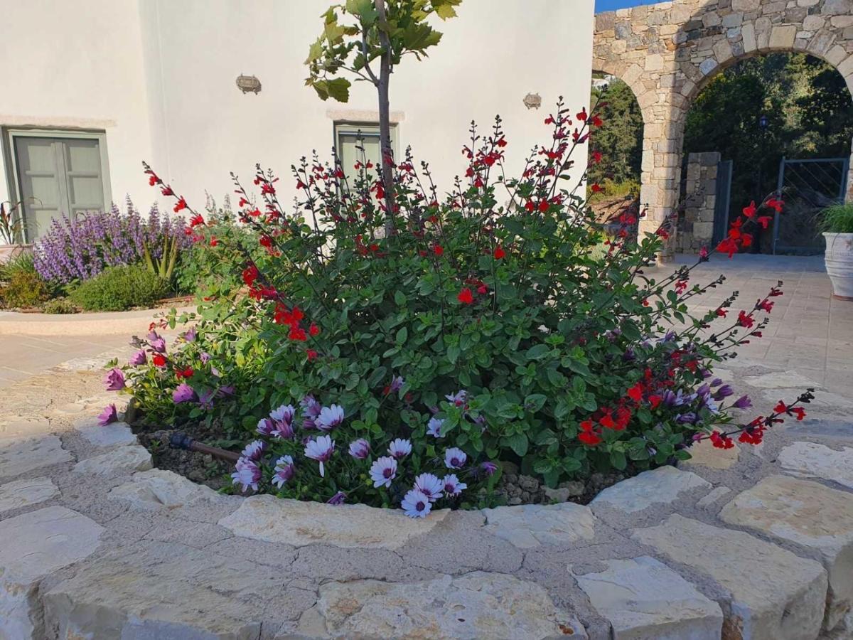 Anamnezia Luxury Suites (Adults Only) Agios Dimitrios  Εξωτερικό φωτογραφία